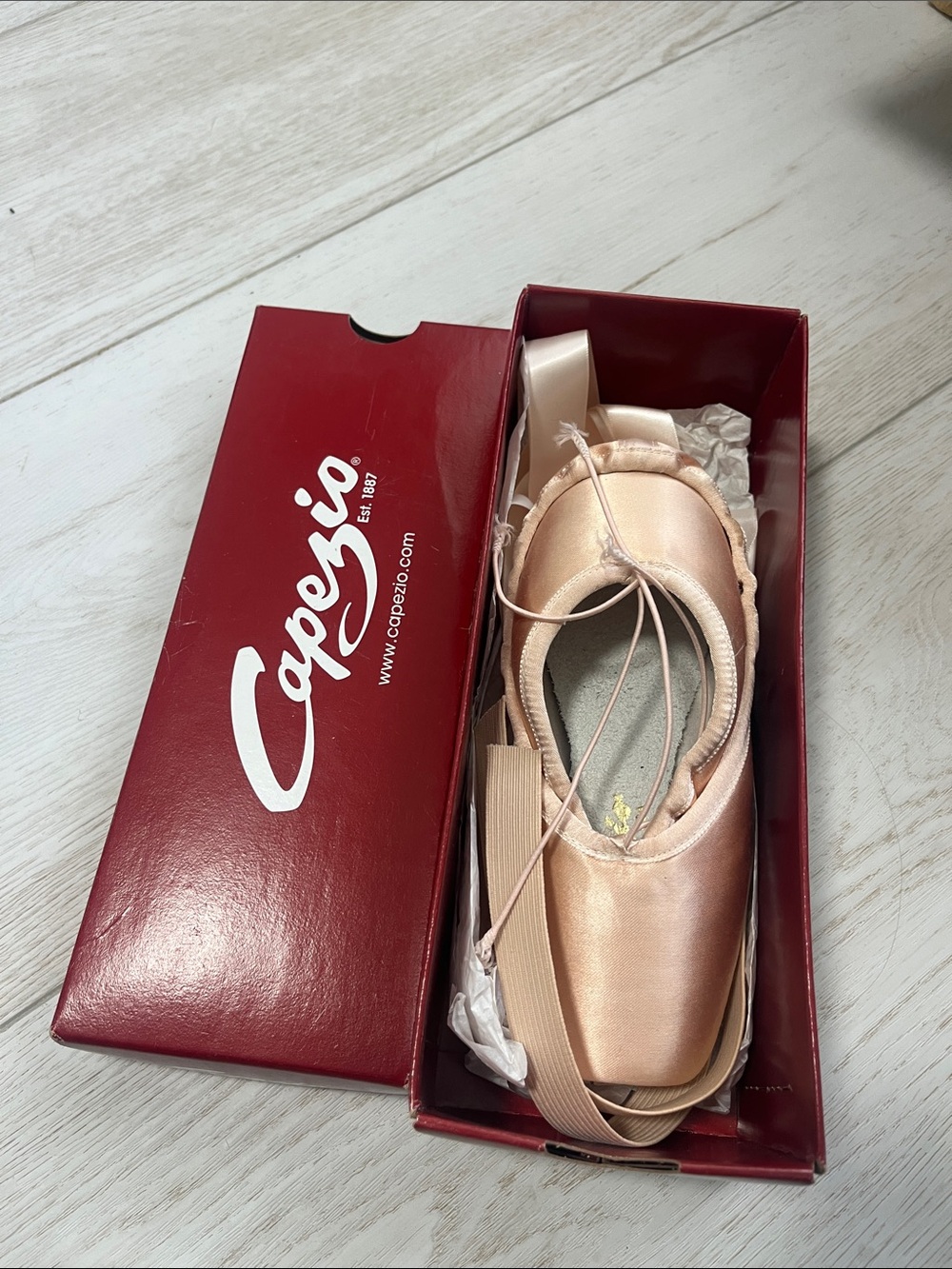 Capezio Satin Pointe Shoes in Rose